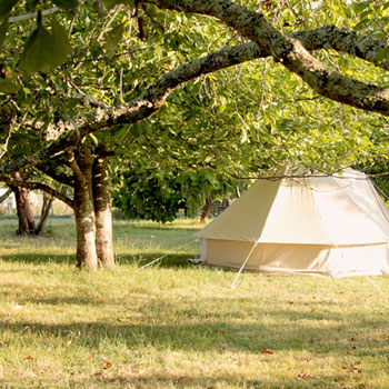 Photo du camping de Cablanc sous les arbres du verger