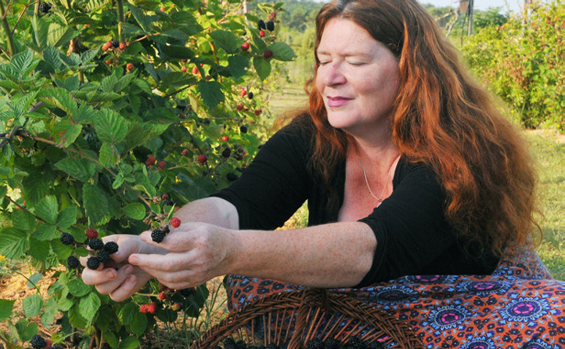 Photo de Véronique, propriétaire de l'écolieu, cueillant des mûres dans le jardin