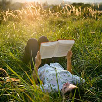 photo d'une personne entrain de lire un livre dans un champ d'herbes hautes