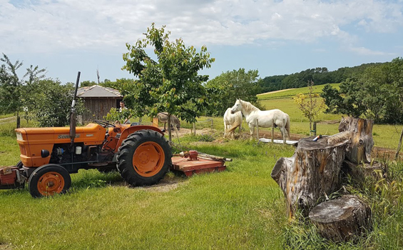 photo d'un tracteur près d'une grange avec les chevaux de Cablanc et les champs et bois en arrière plan