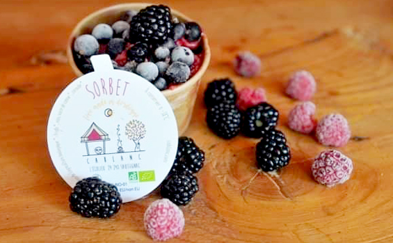 Photo des pots de sorbets avec des fruits rouges, noirs et des baies autour du pot