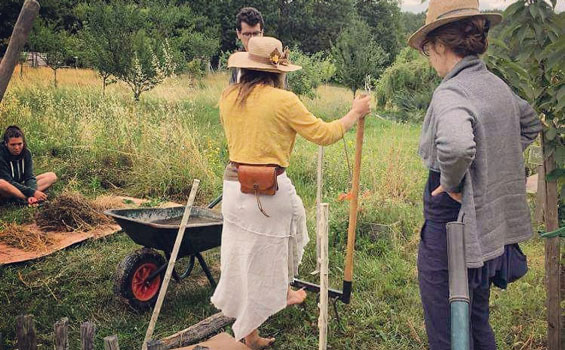 volontaires travaillant au potager à Cablanc